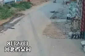 疑似情侣吵架，女子驾车撞击男子视频封面