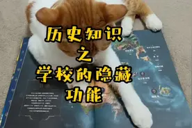 你想不到的学校和监狱的共同点 #星河知识计划 #渊博文化星视频封面