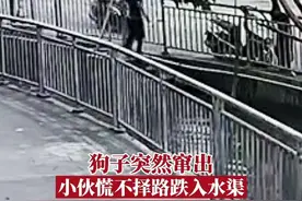 8月8日，广东中山。狗子突然窜出来追着小伙狂叫，小伙吓得慌不择路，跌入水渠…#狗子 视频封面