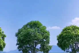 韩国人为什么说，他们的祖先原至湖北？#韩国 #湖北 #抖in武汉乐来越好 #抖音小助手