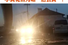 #315 小黄花鱼为啥这么黄？去年315记者4个月暗访，揭开真相！今年315，染色小黄花鱼案开庭，一审判决实刑视频封面
