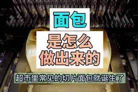 #面包制作 从小麦到面包是这么生产出来的