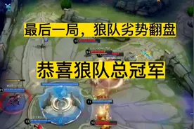 KPL夏季总决赛狼队劣势翻盘，4:2赢下eStarPro，恭喜狼队总冠军