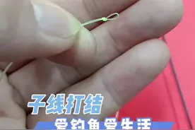 #子线结技巧分享 #子线结绑法 #绑子线方法 10s教会你打子线结视频封面