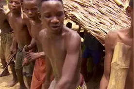 #俾格米人#原始部落 8岁结婚生子#视频封面