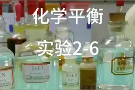 化学平衡  增大反应物浓度增大生成物浓度观察正反应逆反应快...