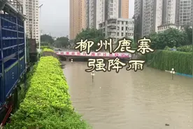 柳州再迎新一轮强降大暴雨，地交桥变鱼塘了，大家出门注意安全视频封面