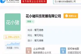 滴滴全资入股花小猪，工商变更已完成！#上热门 #网约车 #滴滴 #花小猪视频封面
