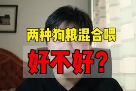 两种狗粮混合喂这样好吗❓#雪纳瑞 #雪纳瑞日常视频封面
