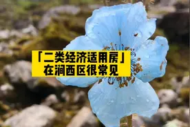 Vol.73 说说「二类经济适用房」的概念及特点，这种房子视频封面