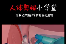 人体里最小的骨头有什么用？#人体结构 #骨头视频封面