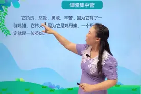 四年级下册人教版语文第四单元14.2母鸡 第2节#小学#小学语文视频封面