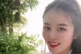 金线莲可以泡水喝也可以炖汤吃#金线莲视频封面