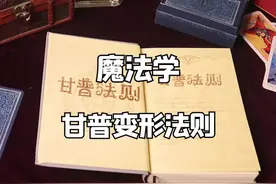 #哈利波特 今天讲一讲甘普基本变形法则视频封面