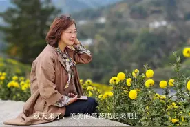 徽州皇菊， 金丝皇菊， 黄山贡菊， 您选对了吗？ 这个秋天，视频封面