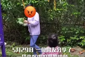 小朋友劝阻摘花的大妈，而大妈却全程没有回应！ #文明 #素质教育视频封面