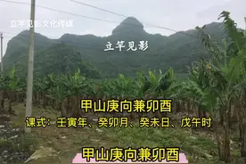 甲山庚向兼卯酉~公鸡打鸣全程22声视频封面