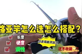 路亚竿新手怎么选？长度、硬度调性怎么搭配？选对少走弯路不踩坑