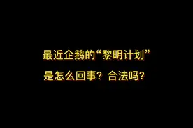 最近企鹅的“黎明计划”是怎么回事？合法吗？#抖来学法视频封面