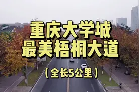 重庆大学城最美梧桐大道（大学城西路），全长5公里视频封面