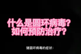 圆环病毒症状和治疗方案#养猪知识 #养殖技术交流 #养猪技术视频封面
