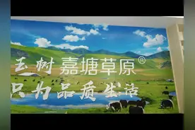 青海省商务厅王处长和雷处长视频封面