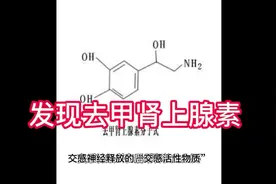 发现去甲肾上腺素视频封面
