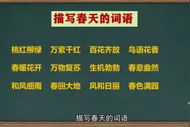 描写春天的词语#语文知识集锦视频封面