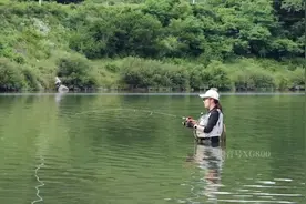 表锅我出来鱼了哦，太阳大你不钓，下雨你也不钓，夜钓你又怕毒蛇