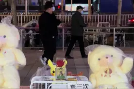 套到一只狗狗，这次没有还给摊主…有好心人吗？#套圈视频封面