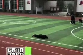 老师拍下学生视频，催促家长来接孩子，家长：我没有这样的儿子。网友：没人认领的虫宝宝😂#学生 #搞笑 视频封面