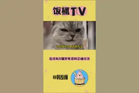 对付私生骚扰电话的正确方法，快艾特你的爱豆学起来～视频封面
