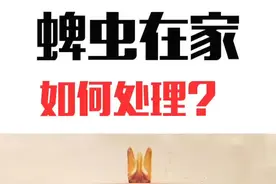 狗狗感染蜱虫在家如何处理？@抖音短视频 顺便说一下我改名字啦~视频封面