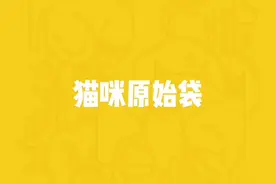 猫咪肚子下的肉肉是什么？不是肥胖也不是生病！#萌宠 #萌宠知识 #猫 #猫咪 #宠物视频封面
