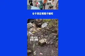 女子景区喂猴被咬，遇到野生动物谨慎对待#野生动物 ⑫视频封面