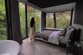 270度全景观玻璃树屋，住进一间房独享整座野奢森林#旅行推荐官视频封面