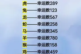 十二生肖车牌幸运数#车牌 #幸运数 #驾考驾考 #考驾照 视频封面