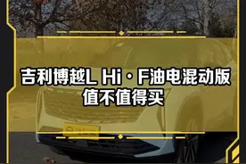 请大数据把这条视频推荐给想买#吉利博越l 的朋友们，多花2w选油电混动版值不值？#买车视频封面