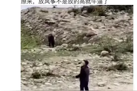 活到老学到老，大爷这技术绝了#小时候的快乐很简单 #放风筝的季节 #大爷就是大爷 @DOU+小助手视频封面