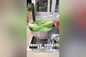 快烂的蔬菜先别扔，这样处理能复活保鲜！|||♥️今日感悟：特殊时期，收到了各种绿叶菜有时候因为路上时间问题收到都不太新鲜了、为此我学会了很多让蔬菜“复活”新鲜的办法～一起来学习下吧～ 生菜保鲜｜西兰花保鲜｜胡萝卜保鲜｜绿叶菜保鲜｜蔬菜保存｜大蒜处理保鲜｜葱花处理保鲜｜菌菇类保鲜｜黄瓜胡萝卜保鲜｜大白菜保存｜土豆发芽处理｜土豆保存蔬菜保鲜大法  土豆  保存蔬菜  水培蔬菜好快乐 #实用好物 #居家好物 #好物推荐🔥 #提升幸福感好物 视频封面