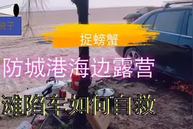 西双版纳-防城港，玩遍广西、吃遍广西、自驾游边境线#自驾游视频封面