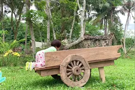 你忙着长大，爸爸忙着记录～不负时光，不负你！#农场日记