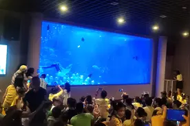 乌鲁木齐海洋馆美人鱼表演#演出现场 #海洋馆打卡 #嗨翻全场视频封面