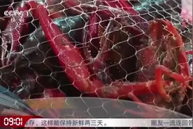 小龙虾里面到底有没有寄生虫呢？现场实验检测，结果却让人意外视频封面