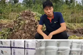 颗粒硼肥有哪些作用#颗粒硼肥 #农业种植 #小麦种植 #果树种植 #蔬菜种植 视频封面