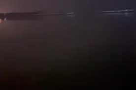玫瑰泛滥成灾，廉价的爱布满街道。视频封面