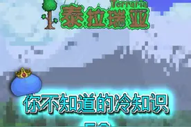  目标是：图鉴全收集！#泰拉瑞亚 #泰拉瑞亚手游 视频封面