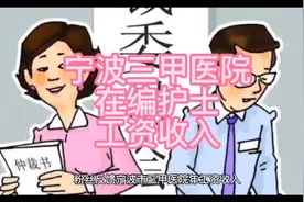 宁波市三甲医院在编护士，工作五年，含公积金，全年26.8万样子。视频封面