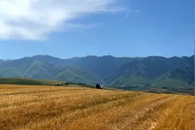 《我的太阳》·父子#那拉提草原#大美 #自驾游 #最美的风景在路上视频封面