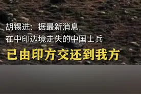 ⁣胡锡进：据最新消息，在中印边境走失的中国士兵已由印方交还到我方。